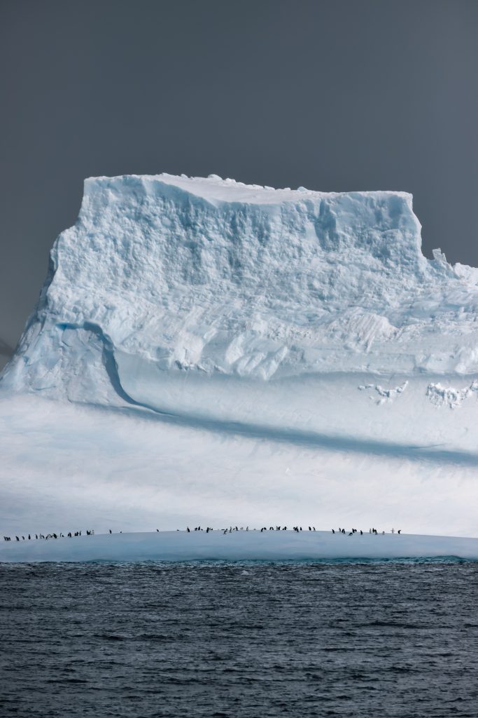 krause-landscape-photo-antarctica-ice