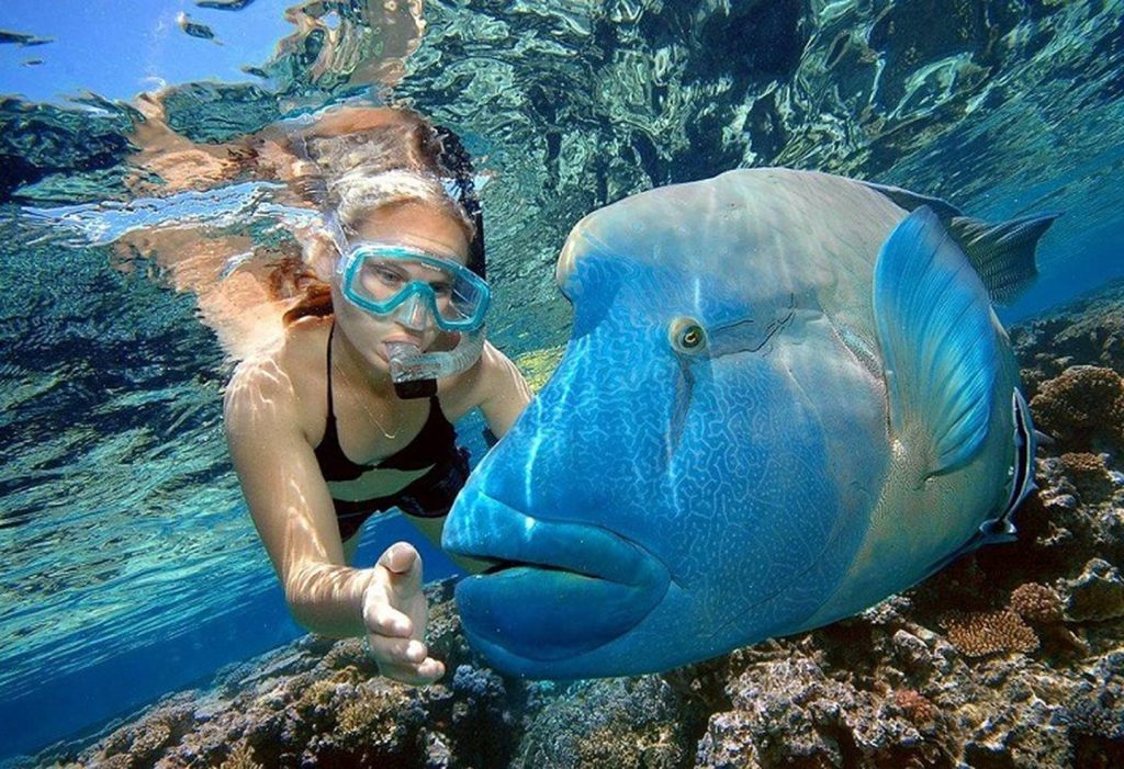 KREYEUXRTI5XHVAM3IXCDLRW6I