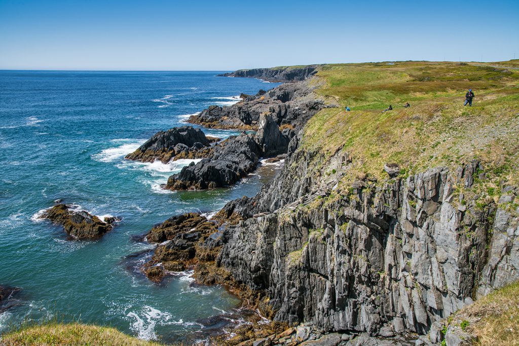 Exploring Newfoundland's Mistaken Point UNESCO World Heritage